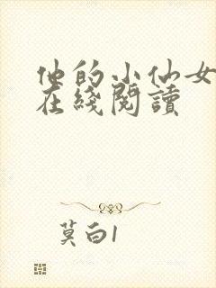 他的小仙女小说在线阅读