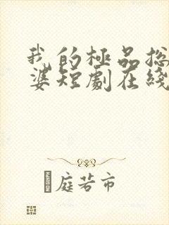 我的极品总裁老婆短剧在线观看免费高清