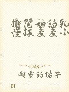 撕开她的乳罩慢慢揉羞羞小说封面