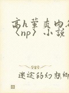 高h荤爽肉欲文〈np〉小说