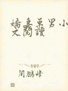 娇妻单男小说全文阅读封面