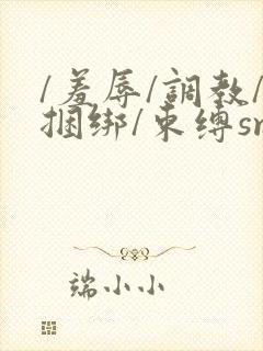 /羞辱/调教/捆绑/束缚sm双男小说