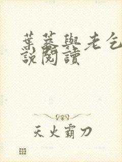 叶蓉与老乞丐小说阅读