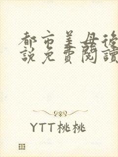 都市美母后宫小说免费阅读全文