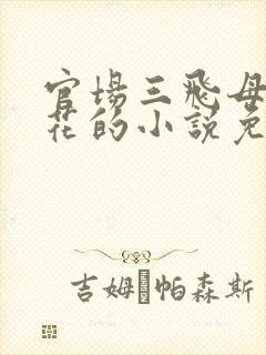 官场三飞母姐妹花的小说免费阅读