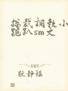 总裁调教小秘书跪趴sm文