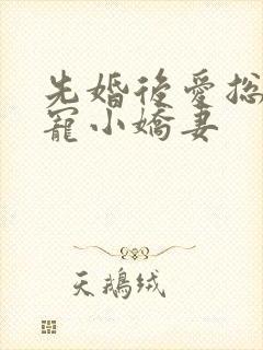 先婚后爱总裁霸宠小娇妻