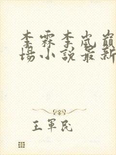 李霖李岚巅峰官场小说最新章节更新