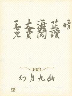 王大海芷晴正版免费阅读