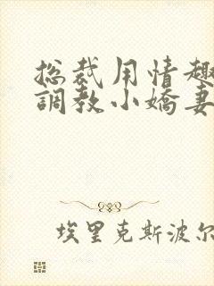 总裁用情趣用品调教小娇妻