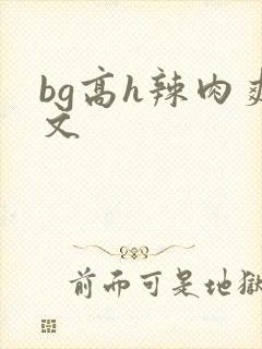 bg高h辣肉爽文