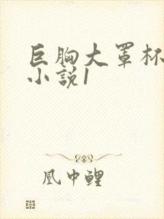 巨胸大罩杯艳妇小说1