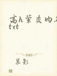 高h荤爽肉欲文txt封面