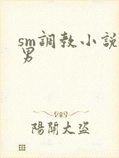 sm调教小说双男