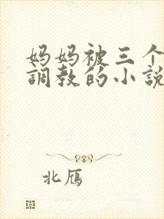 妈妈被三个老板调教的小说封面