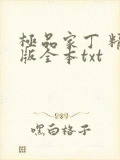 极品家丁 精校版全本txt