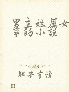 男主姓厉女主姓宁的小说封面