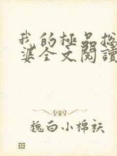 我的极品总裁老婆全文阅读封面