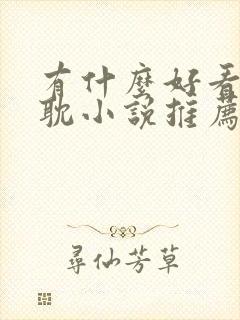 有什么好看的原耽小说推荐