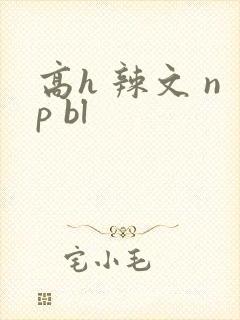 高h 辣文 np bl
