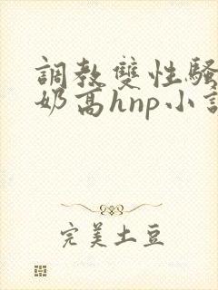 调教双性骚货大奶高hnp小说