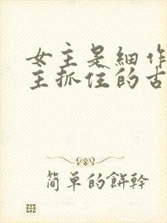 女主是细作被男主抓住的古言封面