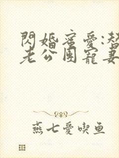 闪婚蜜爱:替补老公团宠妻