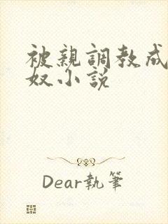 被亲调教成她的奴小说封面