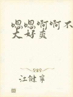 嗯嗯啊啊不要好大好爽封面