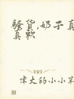 骚货,奶子真大真软