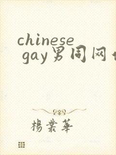 chinese gay男同网站封面