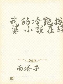 我的冷艳总裁老婆 小说在线阅读