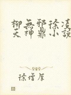柳无邪徐凌雪吞天神鼎小说