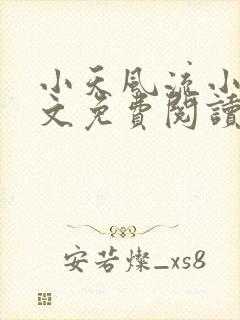 小天风流小说全文免费阅读无弹窗