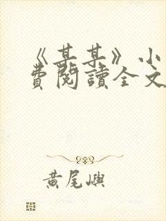 《某某》小说免费阅读全文