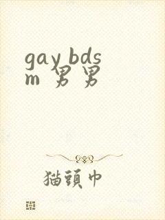 gay bdsm 男男