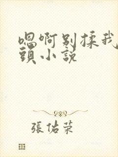 嗯啊别揉我的奶头小说