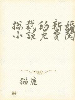 总裁的新婚罪妻小说免费阅读全文