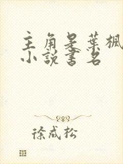 主角是叶枫都市小说书名