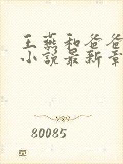 王燕和爸爸王建小说最新章节更新封面