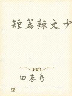 短篇辣文少妇封面