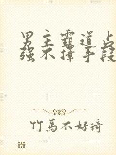 男主霸道占有欲强不择手段的小说