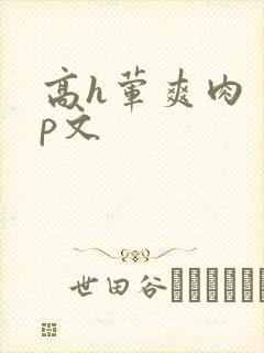 高h荤爽肉〈np文