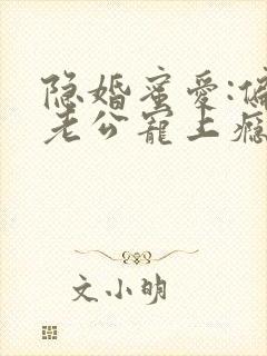 隐婚蜜爱:偏执老公宠上瘾正版