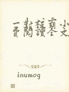 一对校霸小说免费阅读全文无弹窗