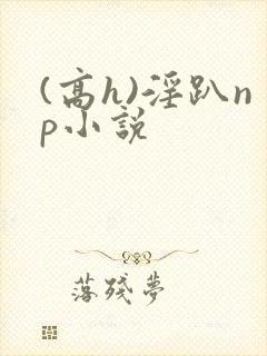 (高h)淫趴np小说封面