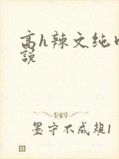 高h辣文纯肉小说