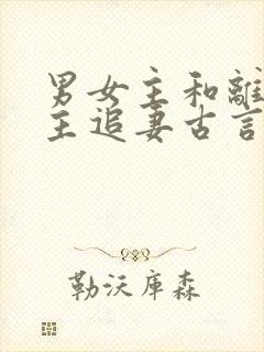 男女主和离后男主追妻古言