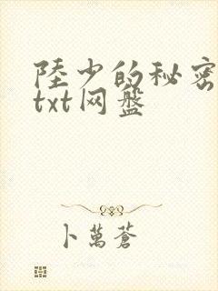 陆少的秘密恋人txt网盘
