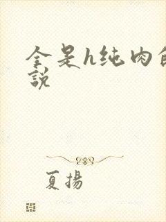 全是h纯肉的小说